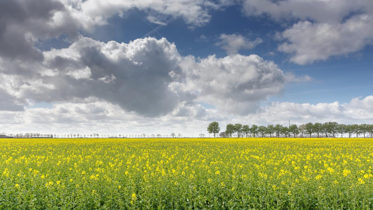 Moushouk Bed And Breakfast Oostwold  エクステリア 写真